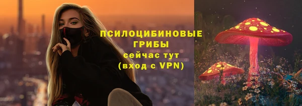 экстази Алексин
