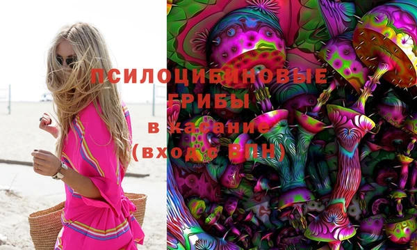экстази Алексин